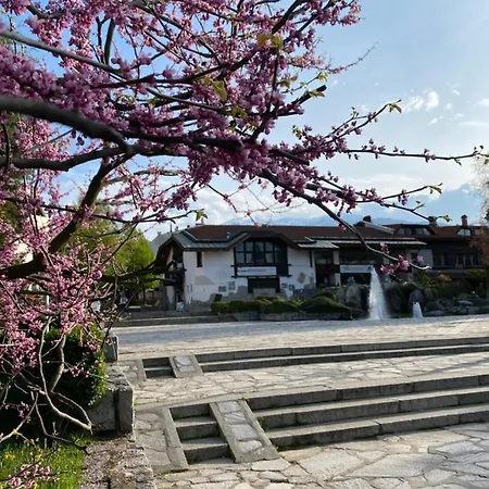 M&r C13 - Terra Complex