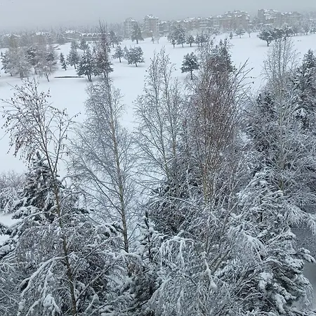 M&r C13 - Terra Complex * Разлог