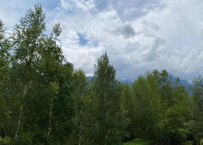 M&r C13 - Terra Complex * Разлог