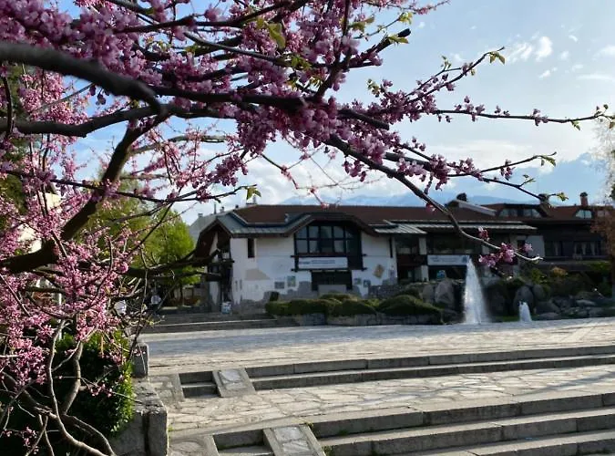 M&r C13 - Terra Complex