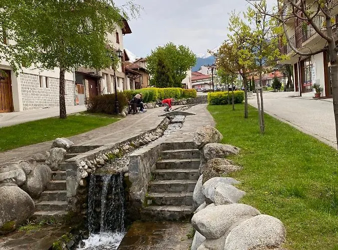 M&r C13 - Terra Complex Разлог