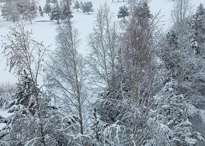 M&r C13 - Terra Complex * Razlog